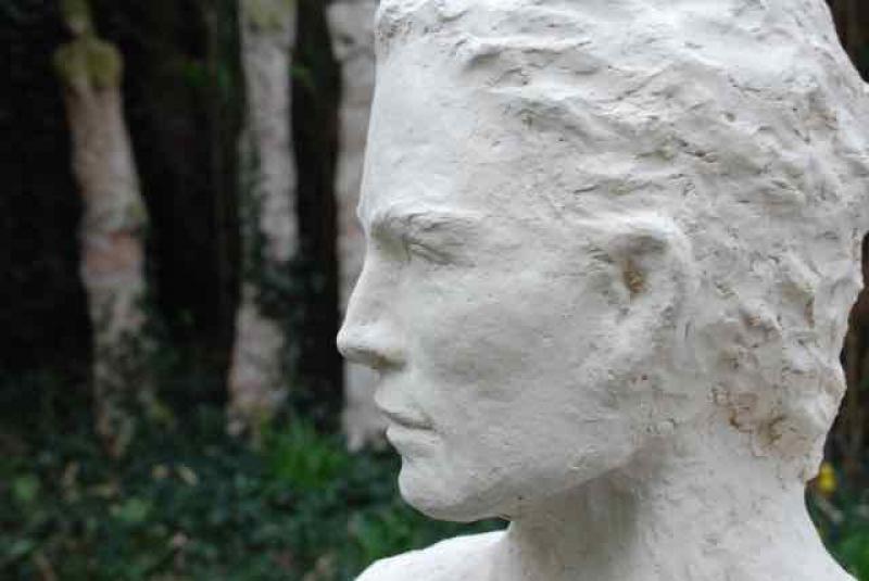 Martine Bossuyt werken